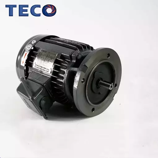 TECO Electric Motor Dust Ignition Proof Flameproof Increased Safety