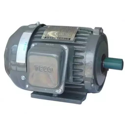 TECO Electric Motor